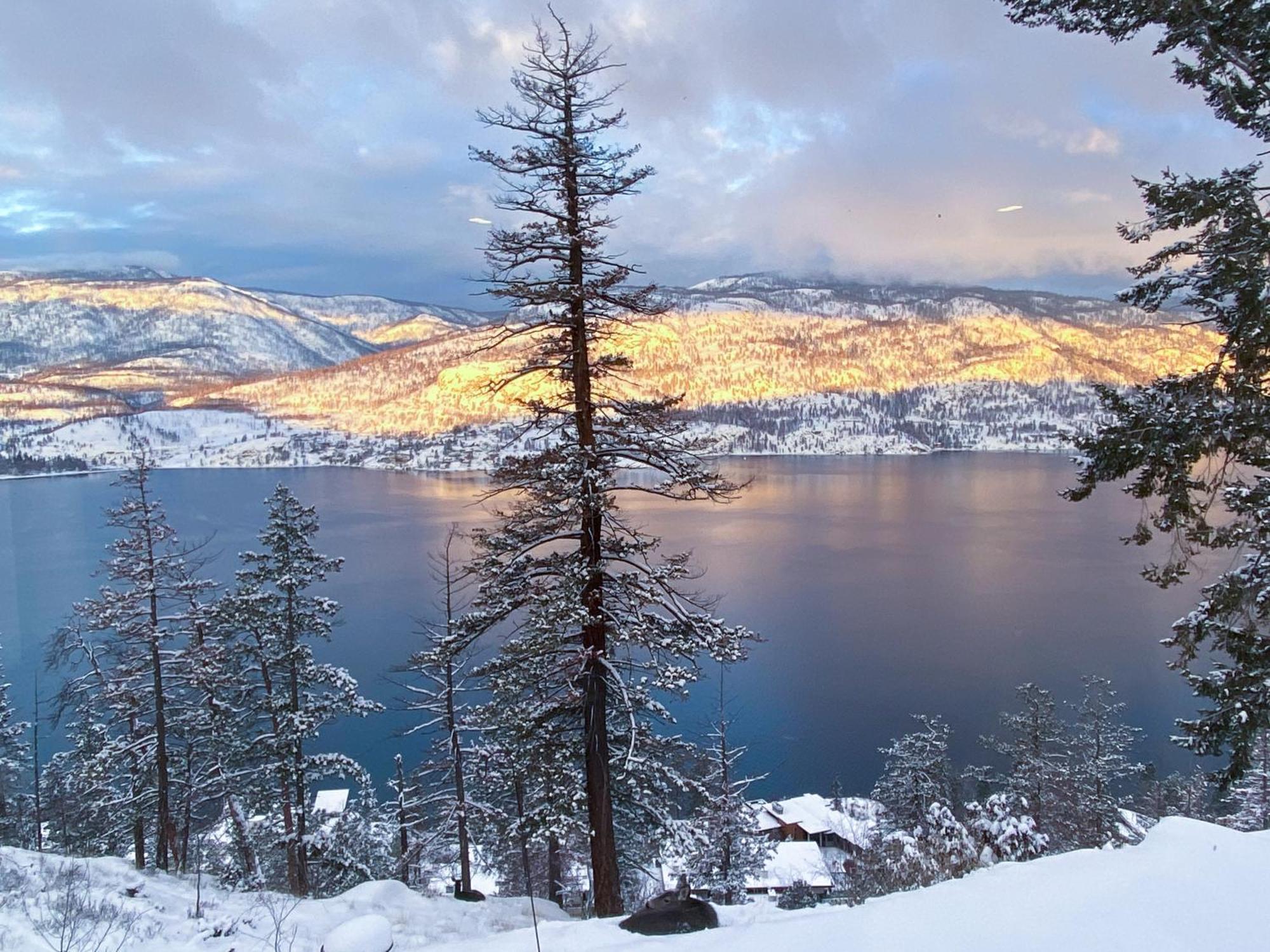 Kelowfornia Lakeview Retreat كيلوانا المظهر الخارجي الصورة