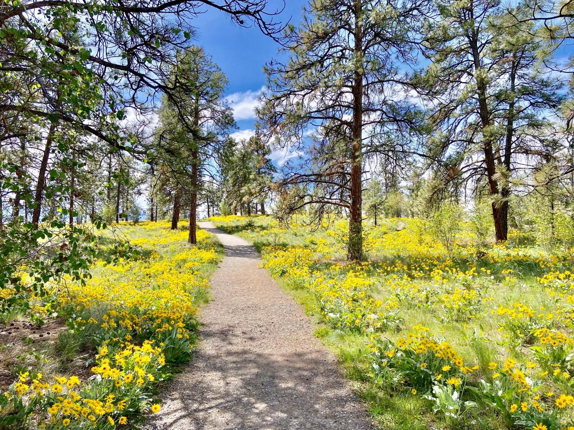 Kelowfornia Lakeview Retreat كيلوانا المظهر الخارجي الصورة