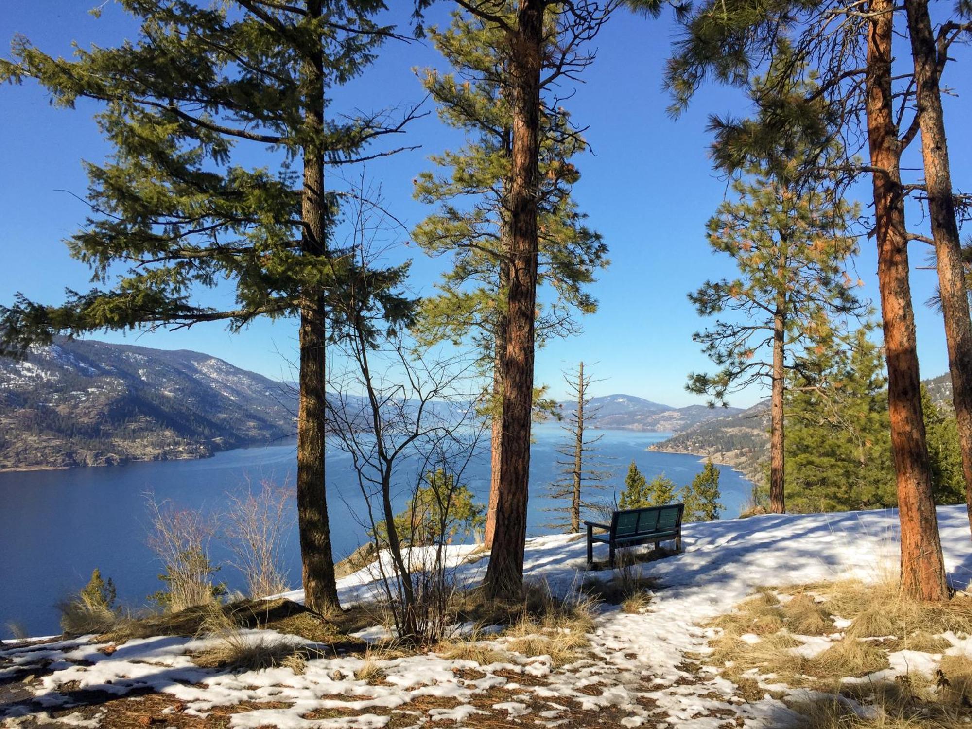 Kelowfornia Lakeview Retreat كيلوانا المظهر الخارجي الصورة