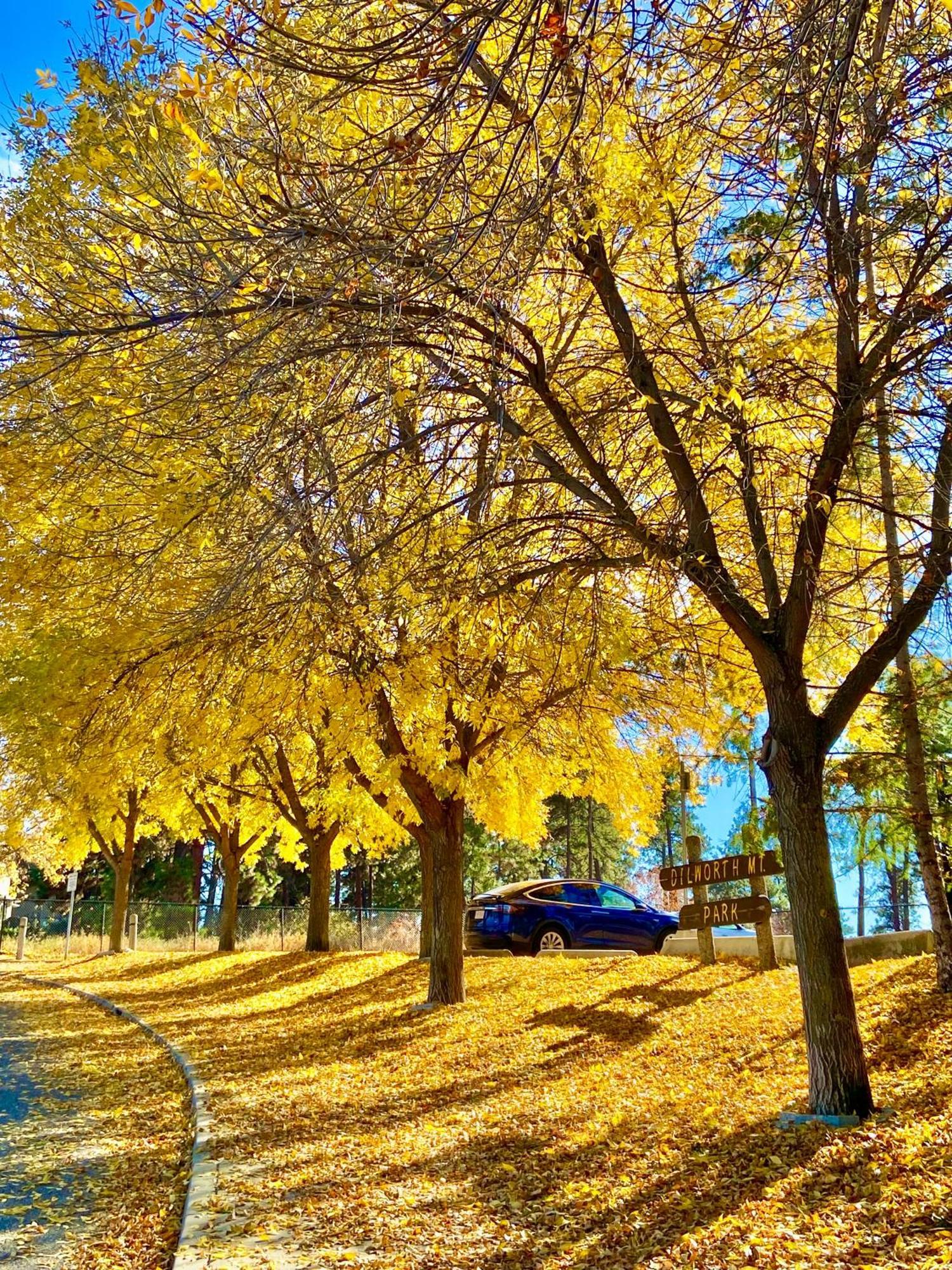 Kelowfornia Lakeview Retreat كيلوانا المظهر الخارجي الصورة
