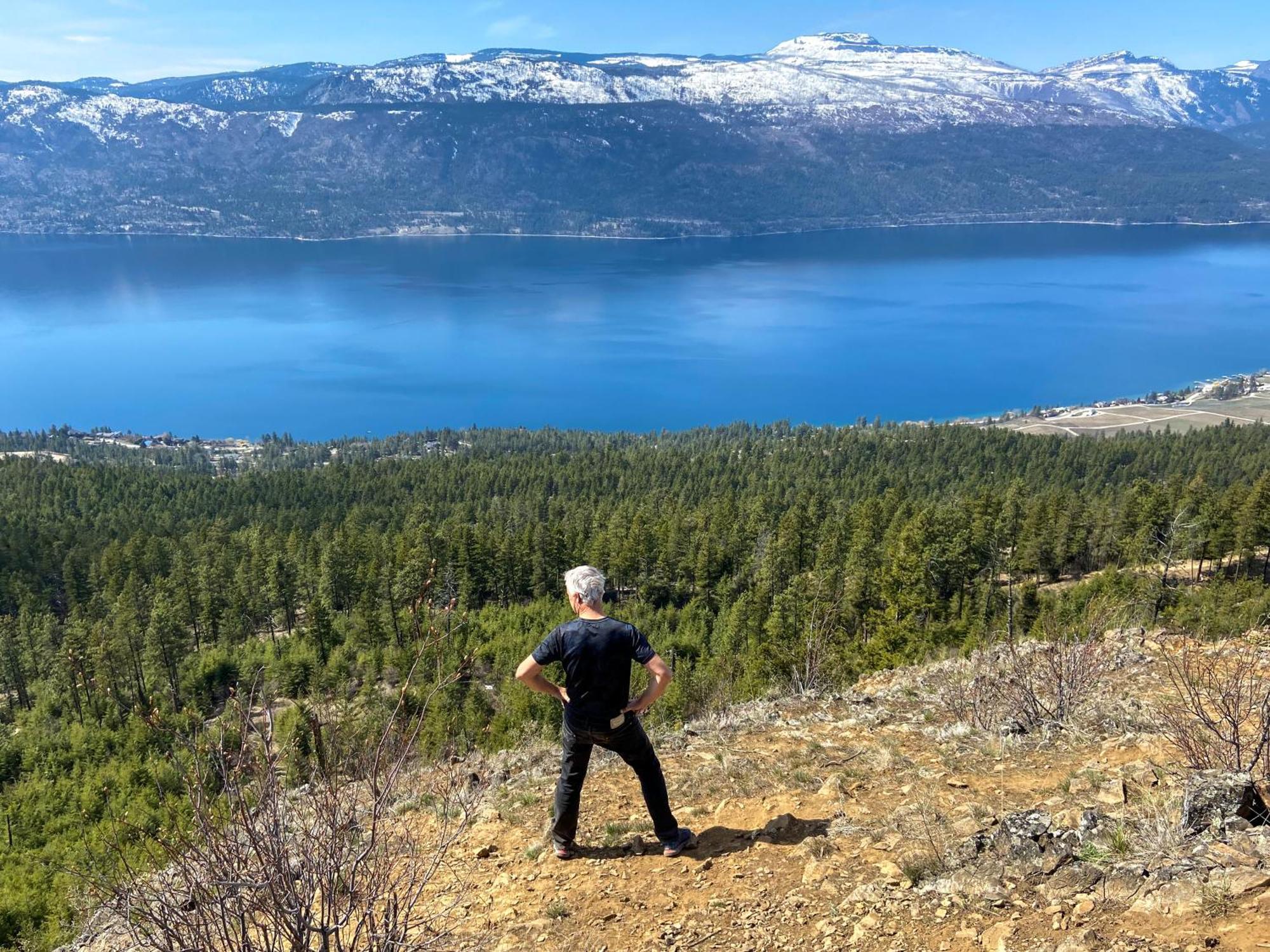 Kelowfornia Lakeview Retreat كيلوانا المظهر الخارجي الصورة